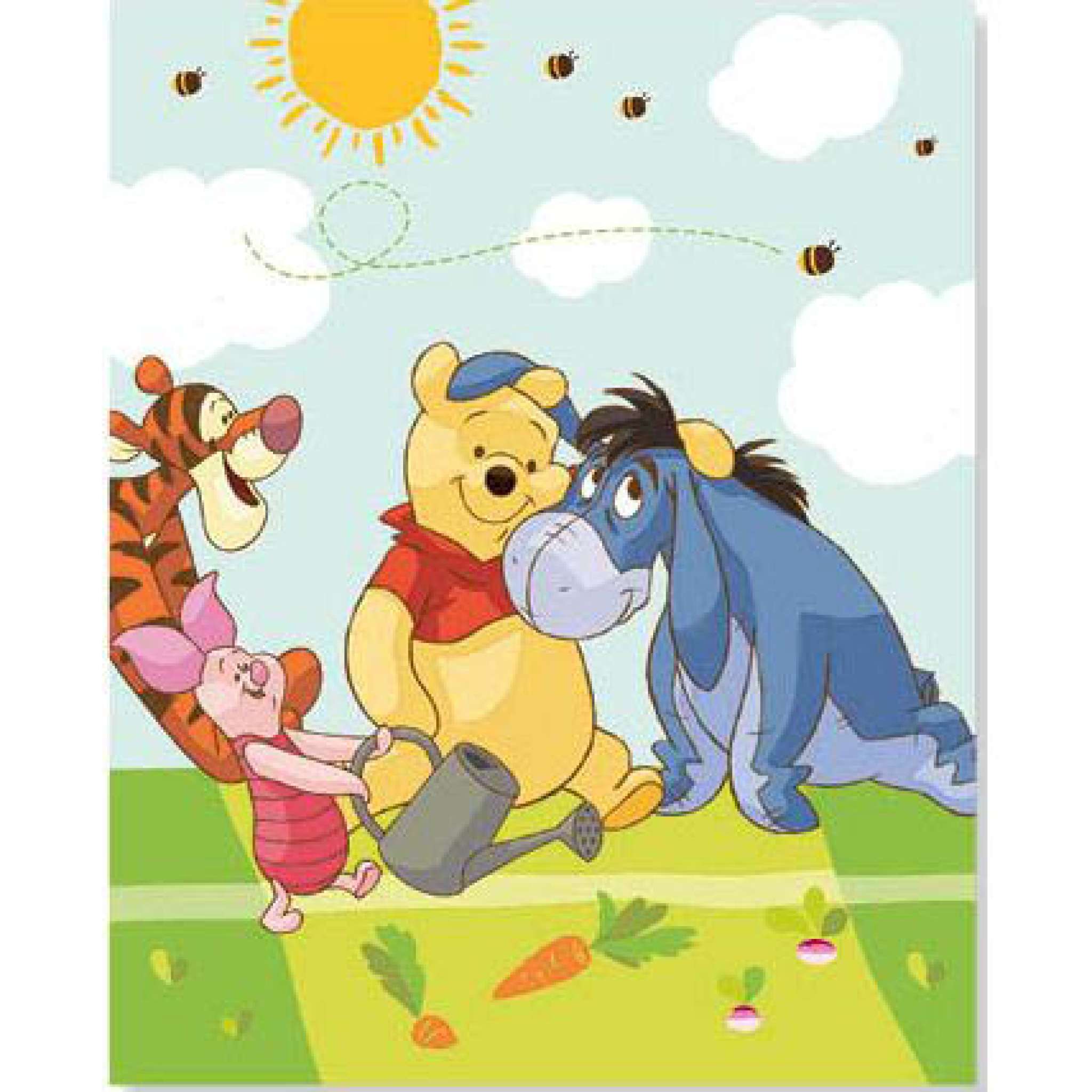 Fleecedecke, Winnie Puuh